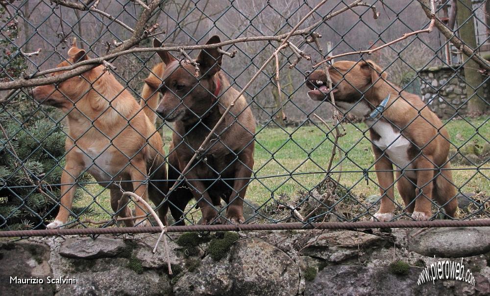 29 Comitato di accoglienza a.....JPG